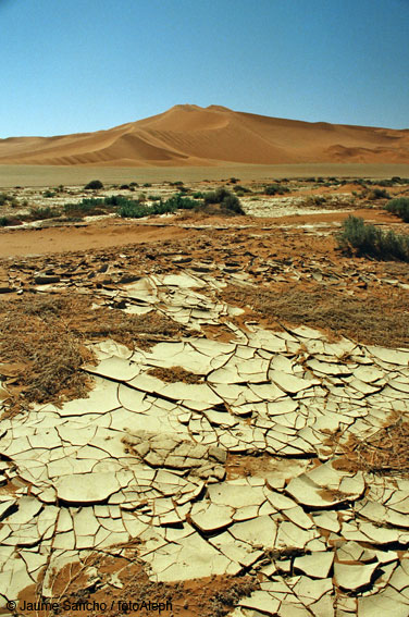 Las dunas gigantes del Namib