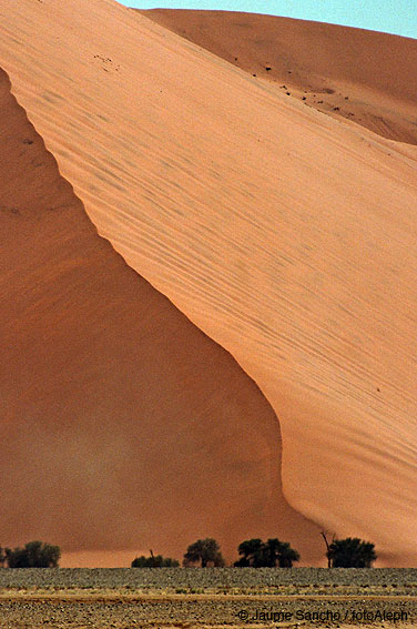 Las dunas gigantes del Namib