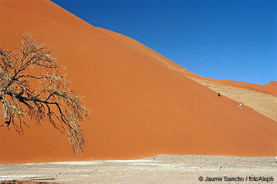 Las dunas gigantes del Namib