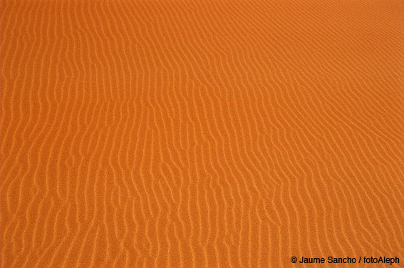 Las dunas gigantes del Namib