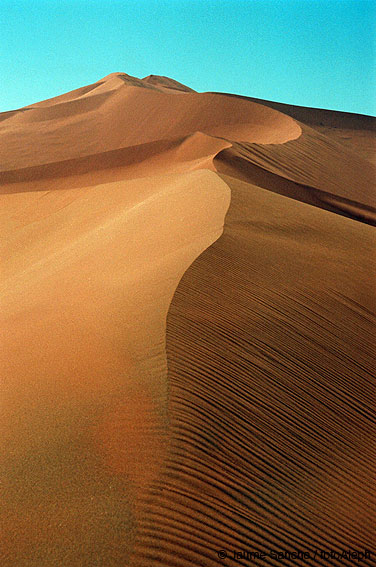 Las dunas gigantes del Namib