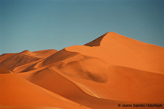 Las dunas gigantes del Namib