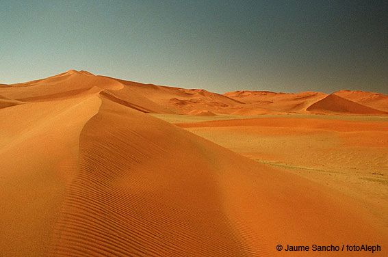 Las dunas gigantes del Namib