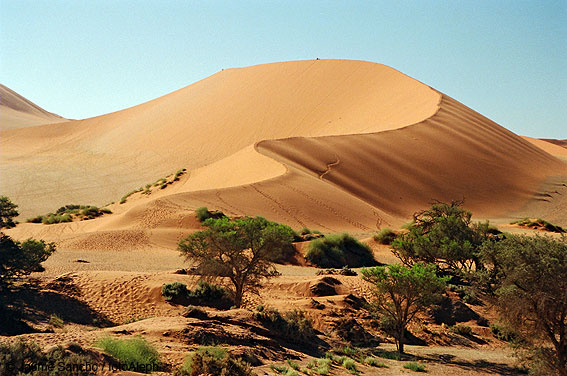 Las dunas gigantes del Namib