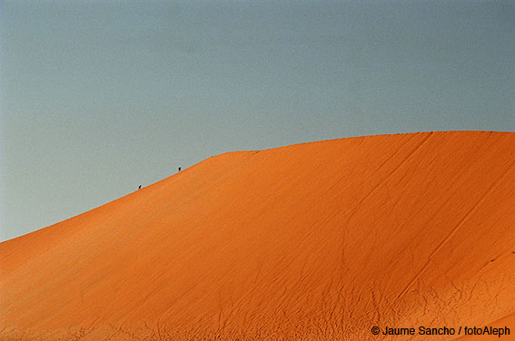 Las dunas gigantes del Namib