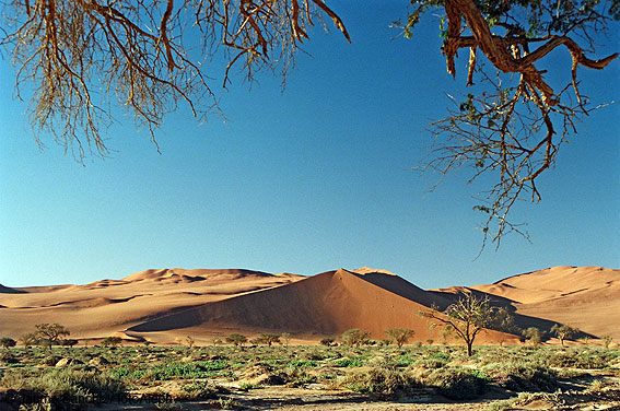 Las dunas gigantes del Namib