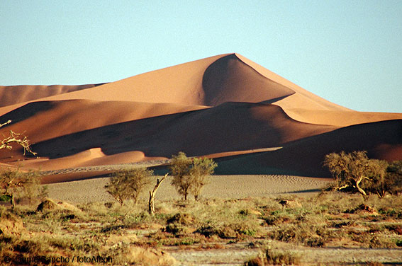 Las dunas gigantes del Namib