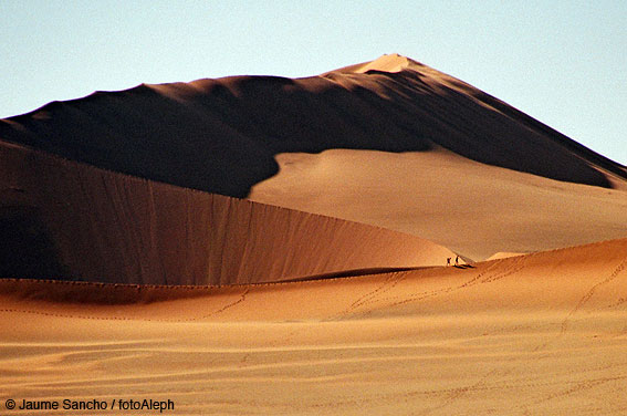 Las dunas gigantes del Namib