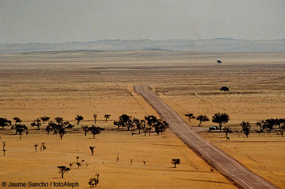 Las dunas gigantes del Namib