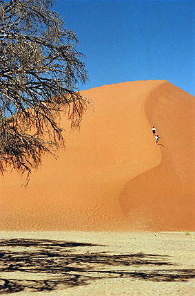 Las dunas gigantes del Namib