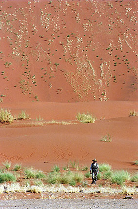 Las dunas gigantes del Namib