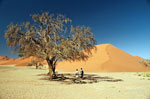 Namib