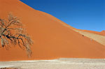 Namib