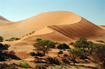 Namib