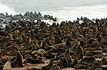 Cape Cross