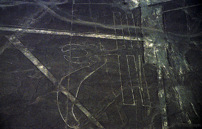 Nazca