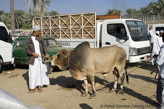 El sultanato de Oman