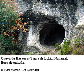 Cueva de Basaura (Navarra)