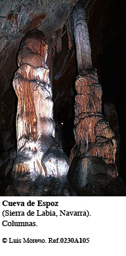Cueva de Espoz (Navarra)