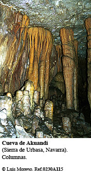 Cueva de Akuandi (Navarra)