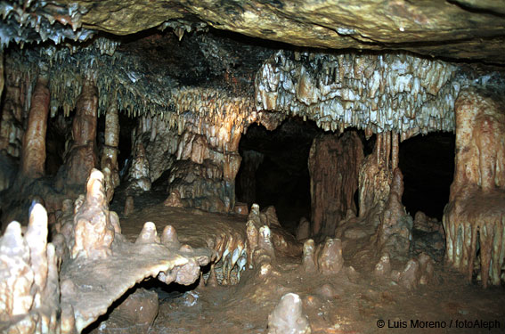 Cueva de La Galiana Baja (Soria)