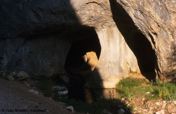 Cuevas de Orillares (Soria)