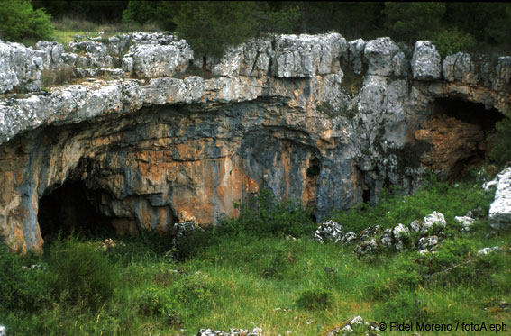 Santa María de la Hoyas (Soria). Cuevas y abrigos en las cercanías