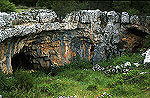 Cuevas de Soria