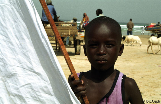 Portal a Senegal