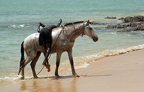 Portal a Senegal