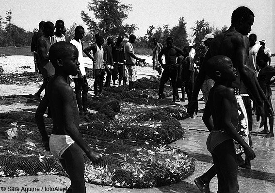 Portal a Senegal