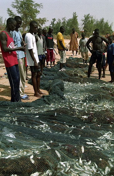 Portl a Senegal