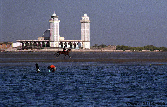 Portal a Senegal