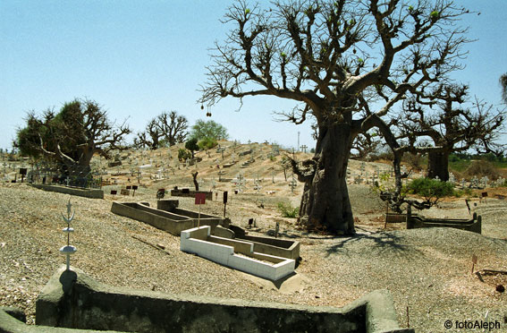 Portal a Senegal