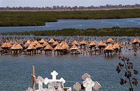 Portal a Senegal