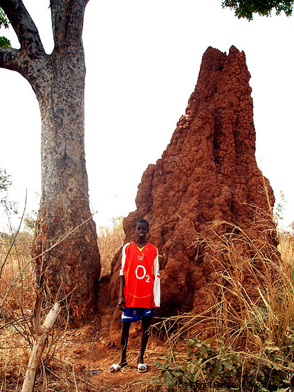 Portal a Senegal