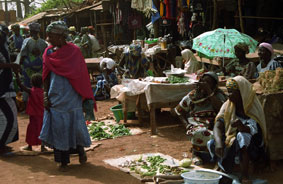 Portal a Senegal