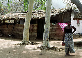 Portal a Senegal