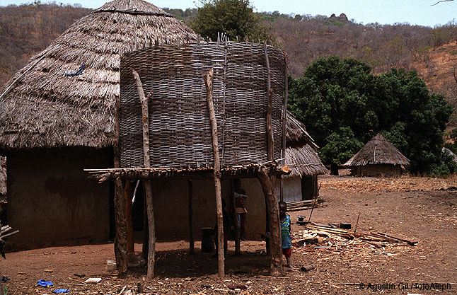 Portal a Senegal