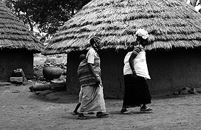 Portal a Senegal