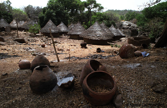 Portal a Senegal