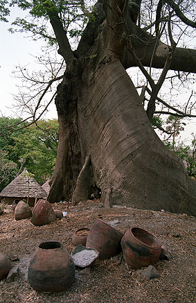 Portal a Senegal