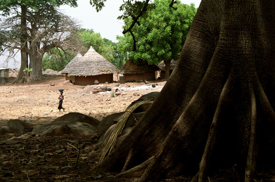 Portal a Senegal