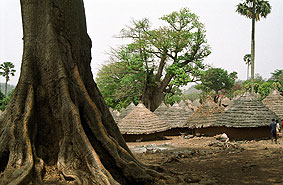 Portal a Senegal