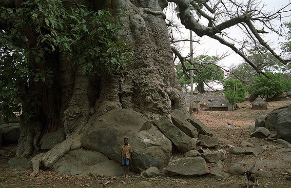 Portal a Senegal