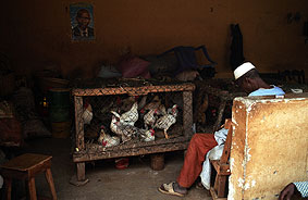 Portal a Senegal