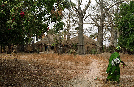 Portal a Senegal