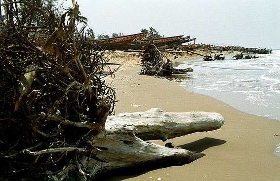 Portal a senegal