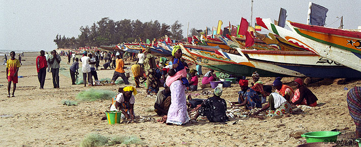 Portal a Senegal