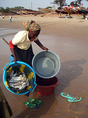 Portal a Senegal